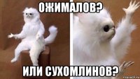 ожималов? или сухомлинов?