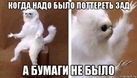 когда надо было поттереть зад а бумаги не было