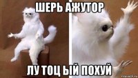 шерь ажутор лу тоц ый похуй