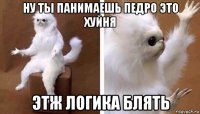 ну ты панимаешь педро это хуйня этж логика блять