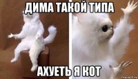 дима такой типа ахуеть я кот