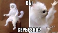 вы серьезно?