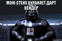 мою стену охраняет дарт вейдер 