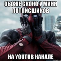 обоже скоко у миня потписшиков на youtub канале