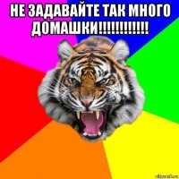 не задавайте так много домашки!!!!!!!!!!!! 