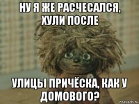 ну я же расчесался, хули после улицы причёска, как у домового?