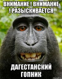 внимание ! внимание ! разыскивается дагестанский гопник