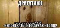 дратути)0) -человек- ты что дурак чтоли?