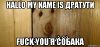 hallo my name is дратути fuck you я собака