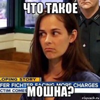 что такое мошна?