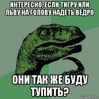 интересно, если тигру или льву на голову надеть ведро они так же буду тупить?