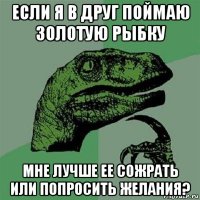 если я в друг поймаю золотую рыбку мне лучше ее сожрать или попросить желания?