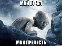 мой отчет моя прелесть