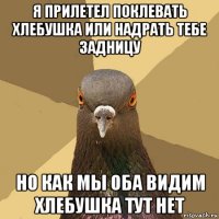 я прилетел поклевать хлебушка или надрать тебе задницу но как мы оба видим хлебушка тут нет