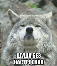  шуша без настроения