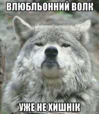 влюбльонний волк уже не хишнік