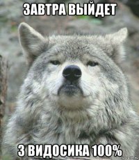 завтра выйдет 3 видосика 100%