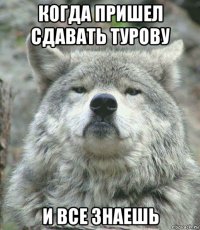 когда пришел сдавать турову и все знаешь