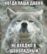 когда паша давно не входил в шоколадный