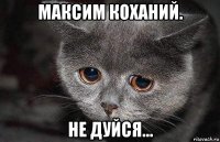 максим коханий. не дуйся...