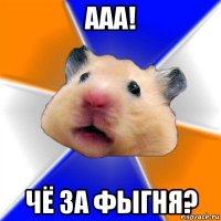 ааа! чё за фыгня?