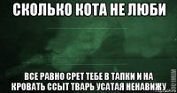 сколько кота не люби все равно срет тебе в тапки и на кровать ссыт тварь усатая ненавижу