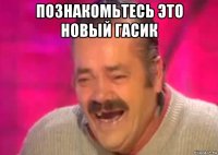 познакомьтесь это новый гасик 