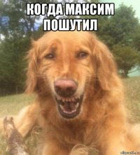 когда максим пошутил 