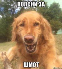 поясни за шмот