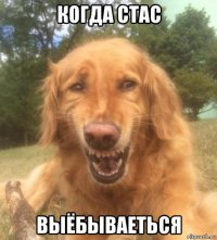 когда стас выёбываеться