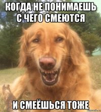 когда не понимаешь с чего смеются и смеёшься тоже