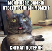 мой мозг в самый ответственный момент сигнал потерян