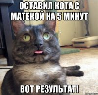 оставил кота с матекой на 5 минут вот результат!