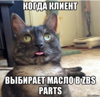 когда клиент выбирает масло в zbs parts