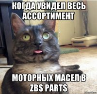 когда увидел весь ассортимент моторных масел в zbs parts