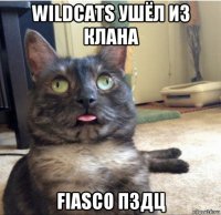 wildcats ушёл из клана fiasco пздц