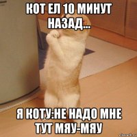 кот ел 10 минут назад... я коту:не надо мне тут мяу-мяу