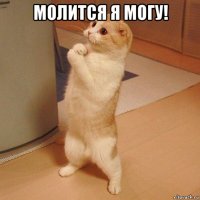 молится я могу! 