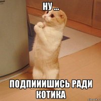 ну ... подпииишись ради котика