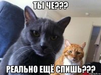 ты че??? реально ещё спишь???