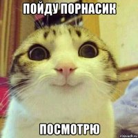 пойду порнасик посмотрю