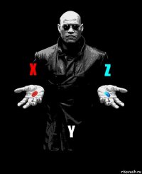 X Z Y