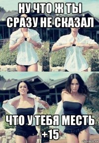 ну что ж ты сразу не сказал что у тебя месть +15