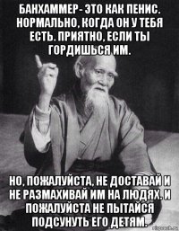 банхаммер- это как пенис. нормально, когда он у тебя есть. приятно, если ты гордишься им. но, пожалуйста, не доставай и не размахивай им на людях. и пожалуйста не пытайся подсунуть его детям.