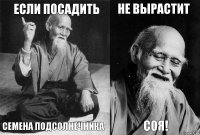 Если посадить семена подсолнечника не вырастит соя!