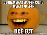 соль,мука,гер,фен соль мука гер фен всё ест