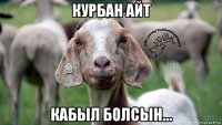 курбан айт кабыл болсын...