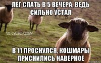 лег спать в 5 вечера, ведь сильно устал в 11 проснулся, кошмары приснились наверное