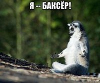 я -- баксёр! 