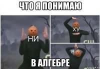 что я понимаю в алгебре